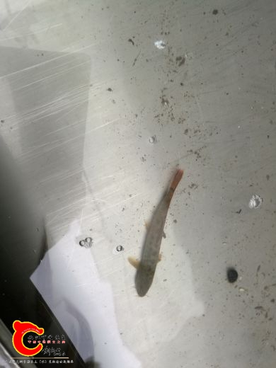 QQ图片20161015125617_调整大小.jpg