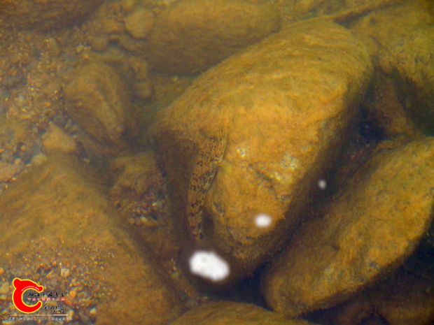 DSC03050.JPG