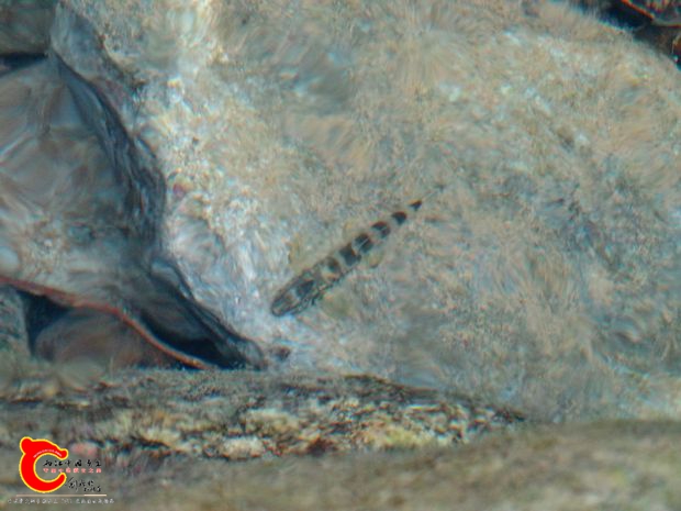 DSC03078.JPG