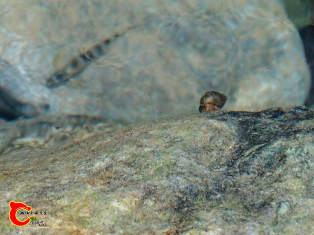 DSC03079.JPG