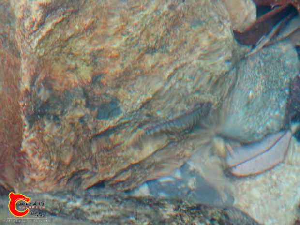 DSC03081.JPG