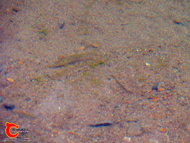 DSC03093.JPG