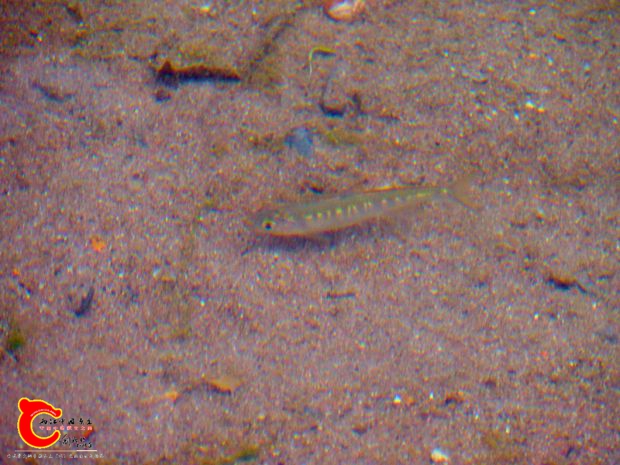 DSC03095.JPG