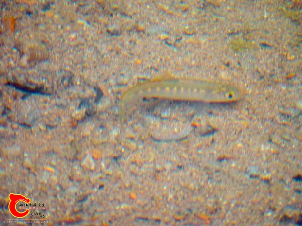 DSC03096.JPG