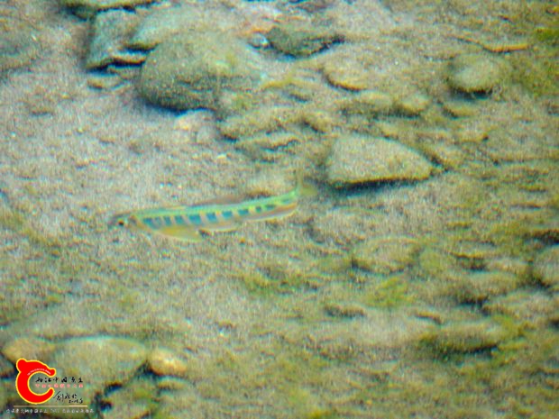 DSC03105.JPG
