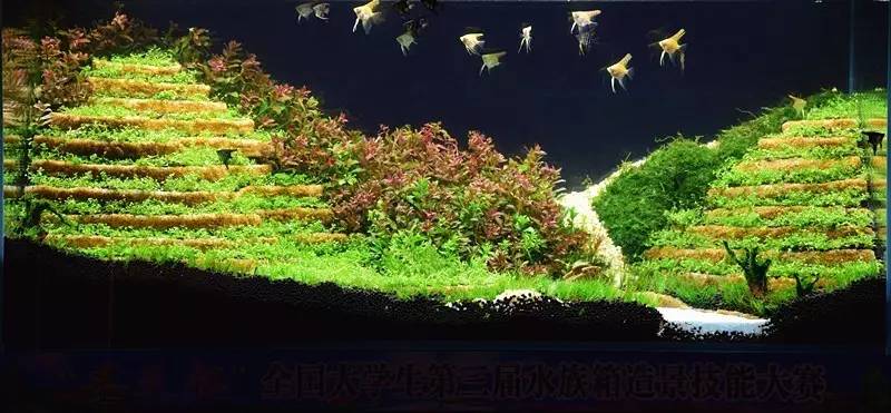 1be160c97881ec53807668c6a1256d1d.jpg
