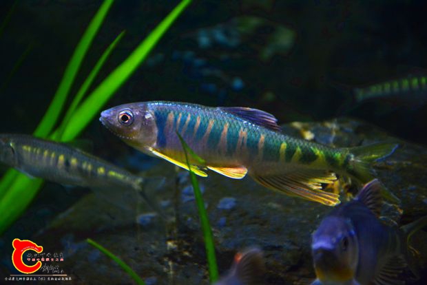 DSC_2390.JPG