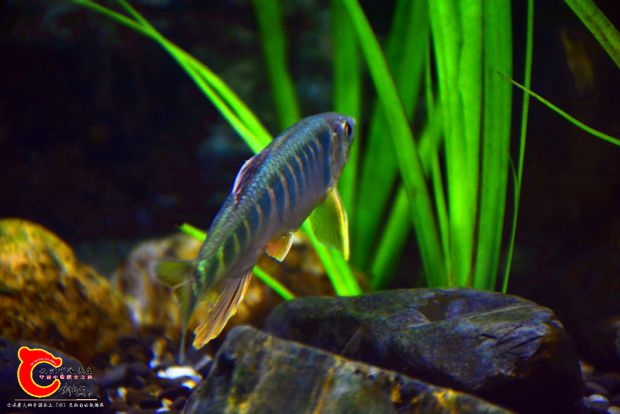 DSC_2404.JPG