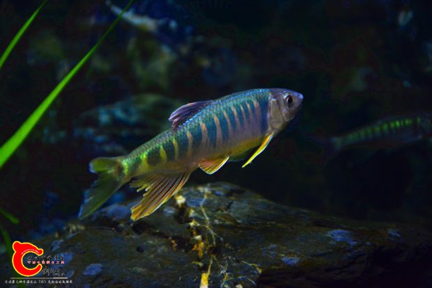DSC_2408.JPG