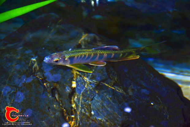 DSC_2412.JPG