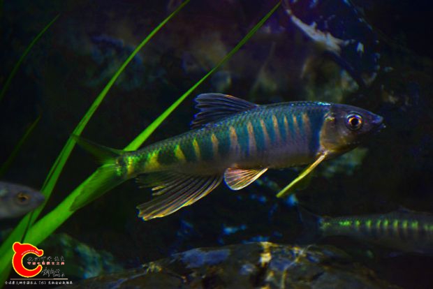 DSC_2422.JPG