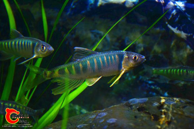 DSC_2425.JPG