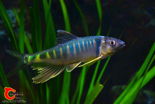 DSC_2428.JPG