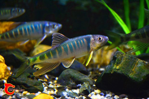 DSC_2434.JPG