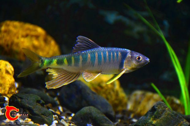DSC_2435.JPG