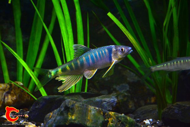 DSC_2440.JPG