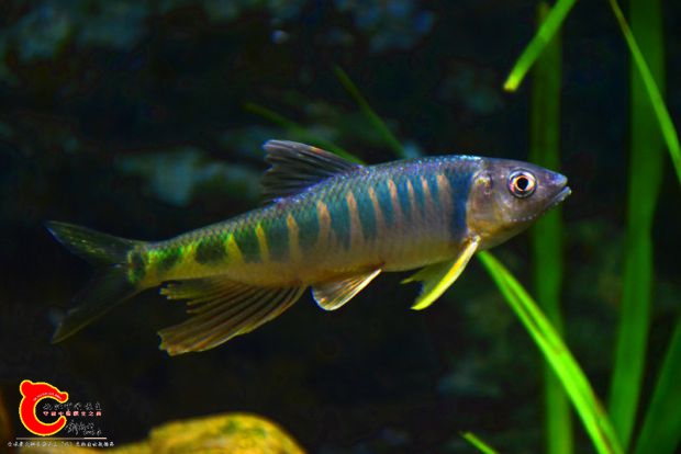 DSC_2459.JPG