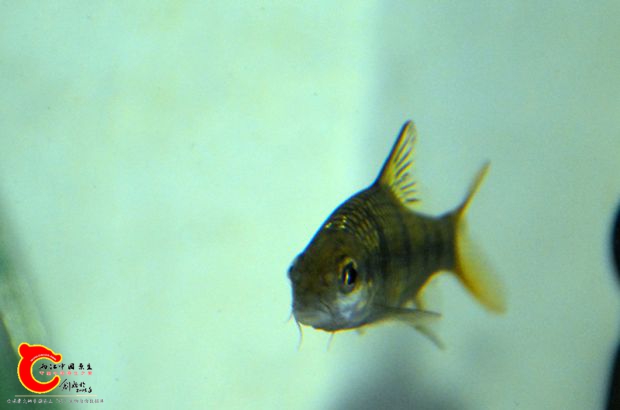 DSC_2493.JPG