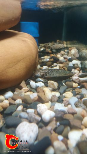 20161015_231917.jpg
