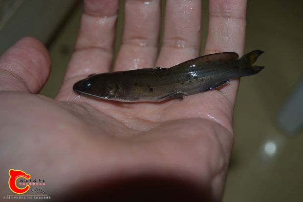 DSC_1258.JPG