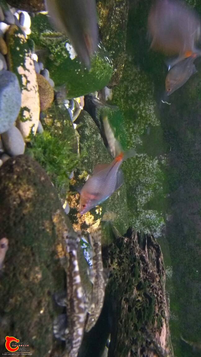 130004g6066zw6dqepeetp.jpg