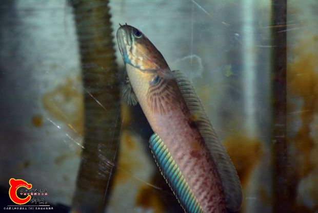 DSC_2559.JPG