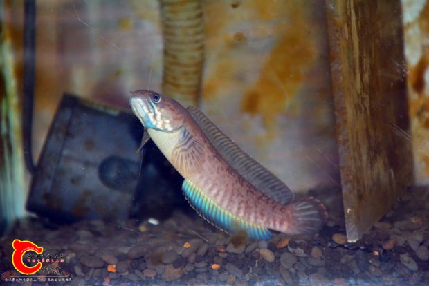 DSC_2560.JPG
