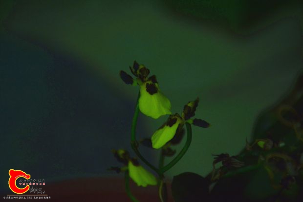 DSC_2553.JPG