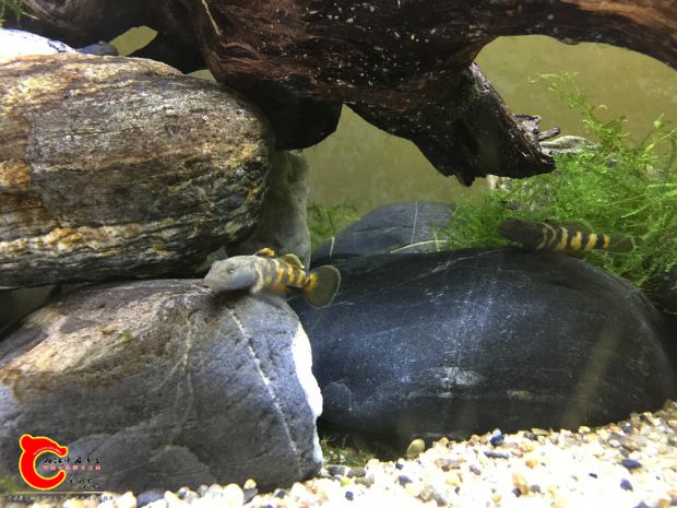 webwxgetmsgimg (1)_meitu_2.jpg