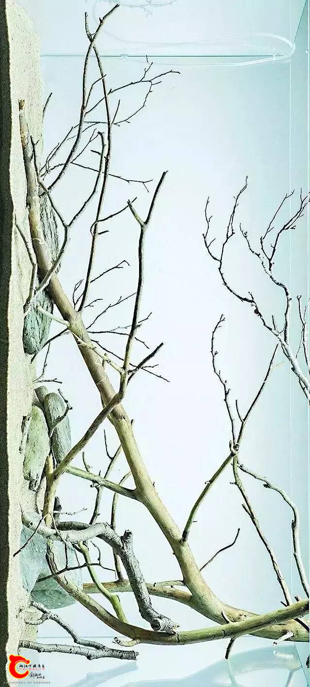 590d2c8a31cc8463547909078eae3b6e.jpg
