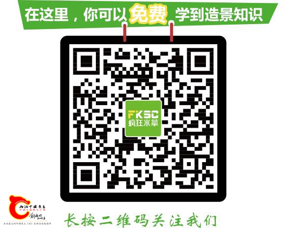 8f0babcf74bdd050640d0388623eb601.jpg
