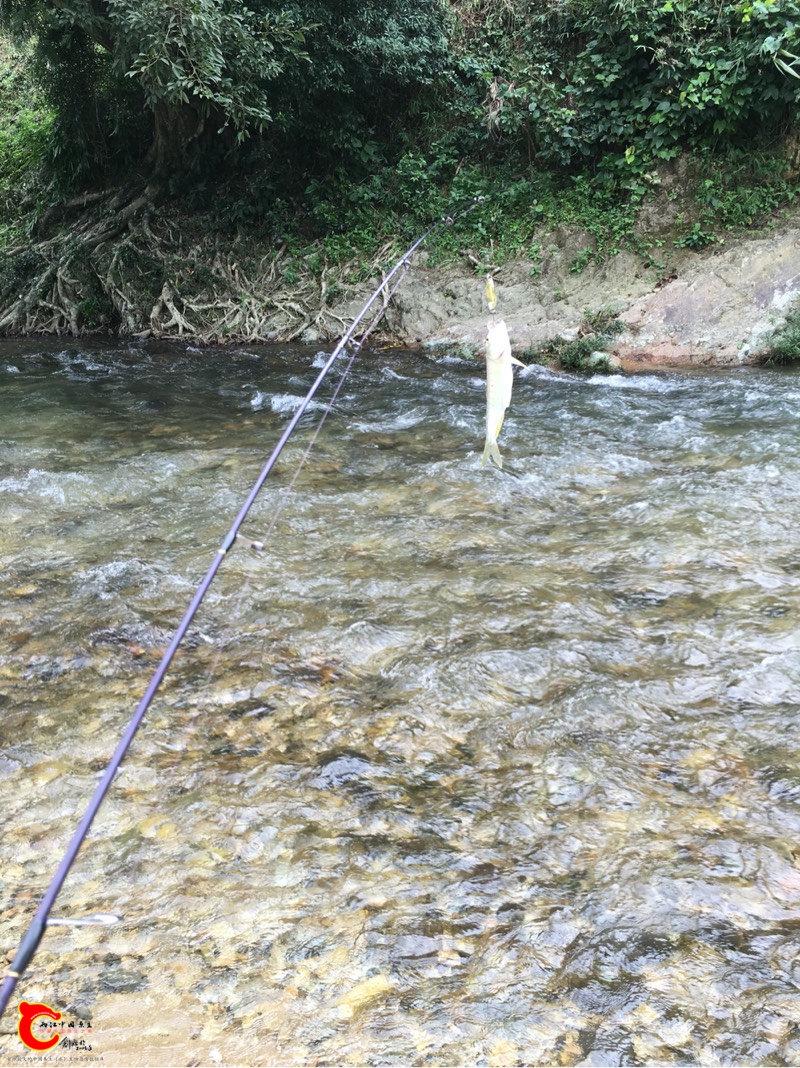 180606dzvajtusroa9trtr.jpg
