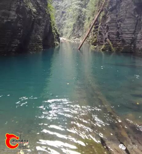 支流，冷水，雅鱼，枯木