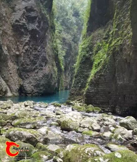 支流