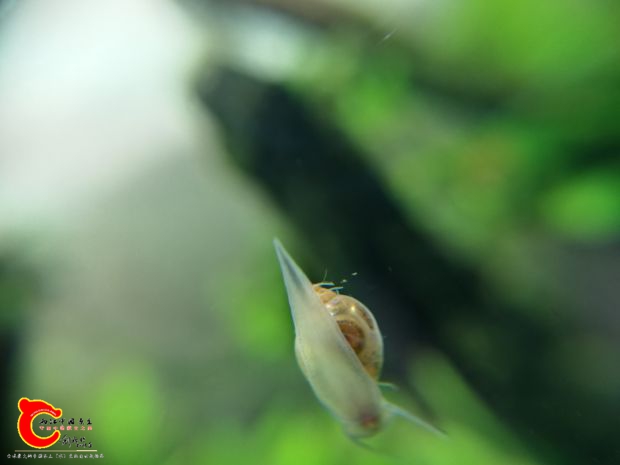 IMG_20161112_124615.jpg
