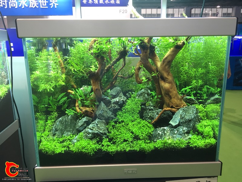 131050k79v77hvqh9kx5p9.jpg