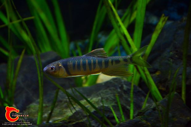 DSC_2606.JPG