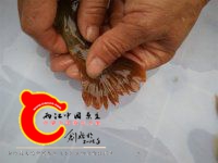 尾鳍有点特殊