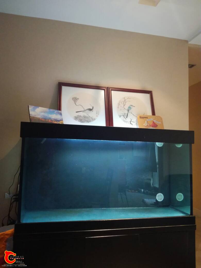 123056q4uf36idtpiyiyhd.jpg