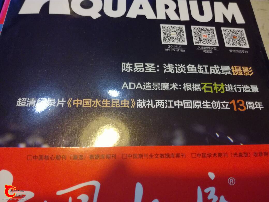 212151twgksw7pwwwp7gc1.jpg