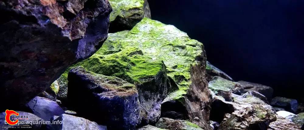 52f4c2f7d16ce32662c0c090df1e5d31.jpg