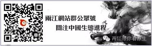 50c753b3a2a978fe738ca927b9aa4662.jpg
