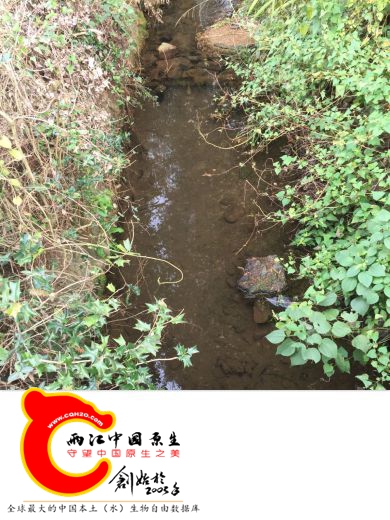 IMG_5839_meitu_14.jpg