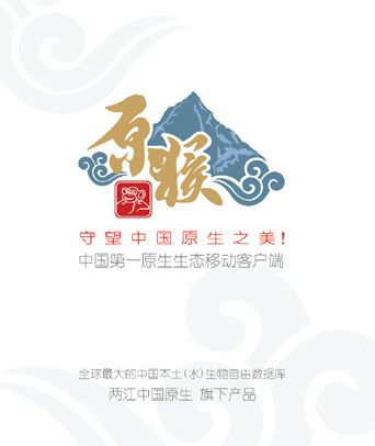 开机画面-3.jpg