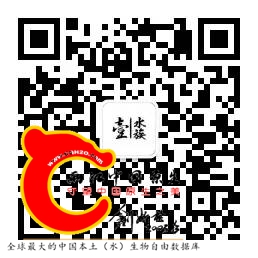7b0cc63df484504dde54cc882ae952c7.jpg