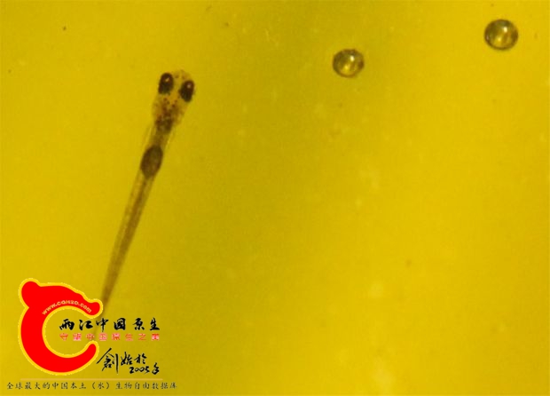 BaiduHi_2016-12-4_15-4-42.jpg