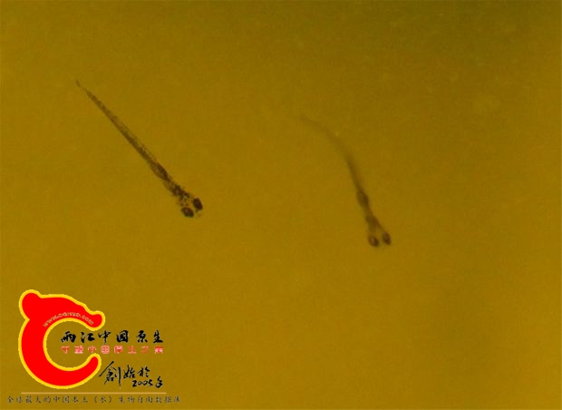 BaiduHi_2016-12-4_15-5-15.jpg