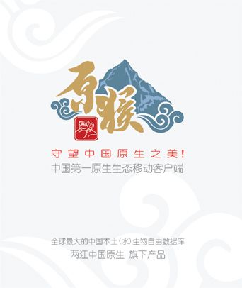 开机画面-4.jpg