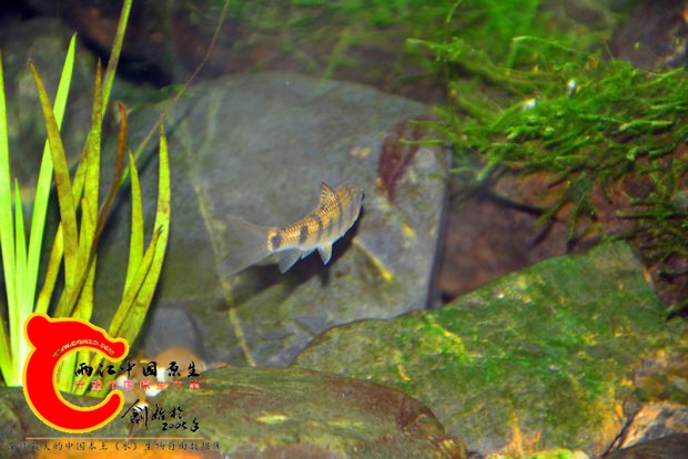 DSC_2625.JPG