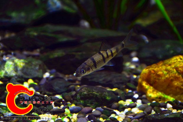 DSC_2640.JPG